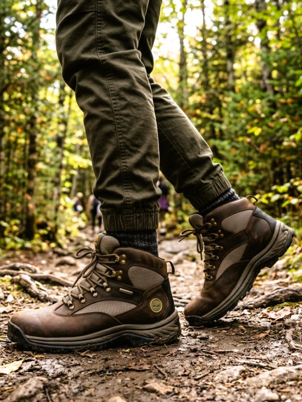 NIB Timberland Leather Timber Dry Mid Waterproof Hiking Boots